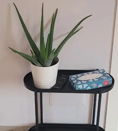 Da Magna Cichina Collegno